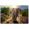 Dreiteiliges Bild Leinwanddruck Elefant Safari Afrika Natur