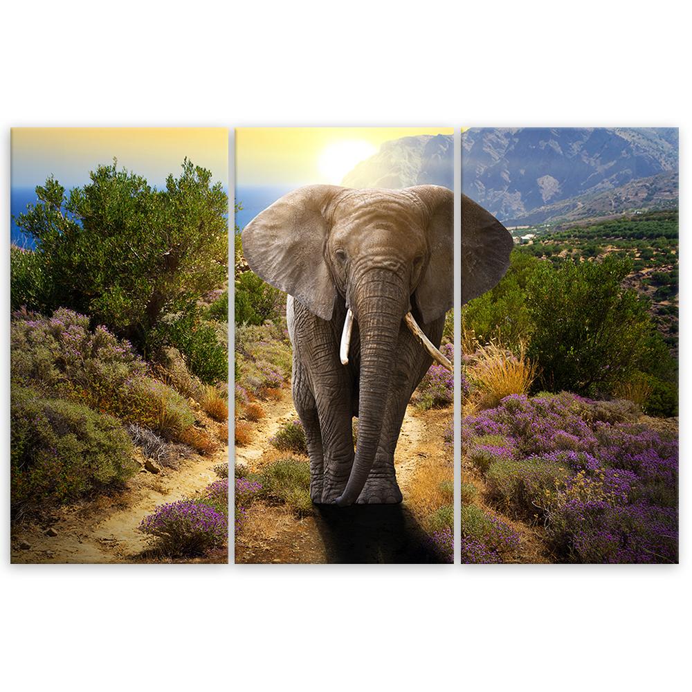 Dreiteiliges Bild Leinwanddruck Elefant Safari Afrika Natur