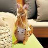 Katzenstatuen Heimdeko PVC Handgefertigt Solide Lebensechte Katzenfiguren Schreibtisch Katzenmodell Sofa Bücherregal Schreibtischornamente Gastgeschenke