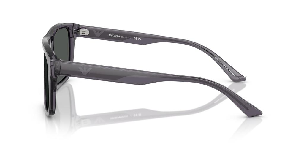Sunglasses 0EA4232F TRANSPARENT DARK GRAY 57 [Emporio Armani]