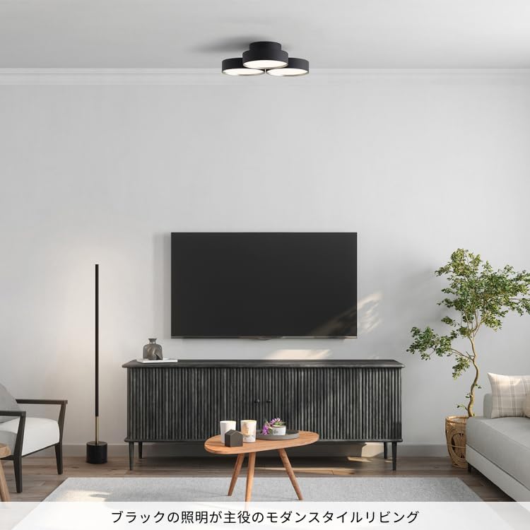 Artwork Studio Phantom LED Ceiling Light, 8-tatami Room Size [LED Bulb Included], 40,000 Hours, Dimmable, Color Adjustable (warmwhite), Indirect