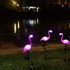Solar Flamingo Garden Stake Light - Outdoor Landscape Decoration