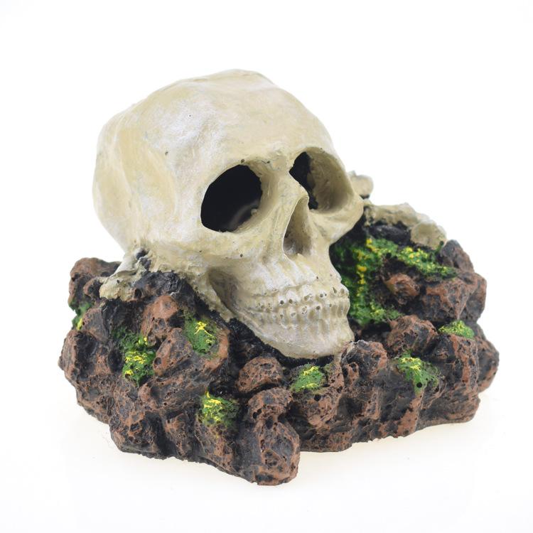 

Череп тираннозавра рекса Декор рептилий – Украшение для аквариума в виде черепа динозавра и человека