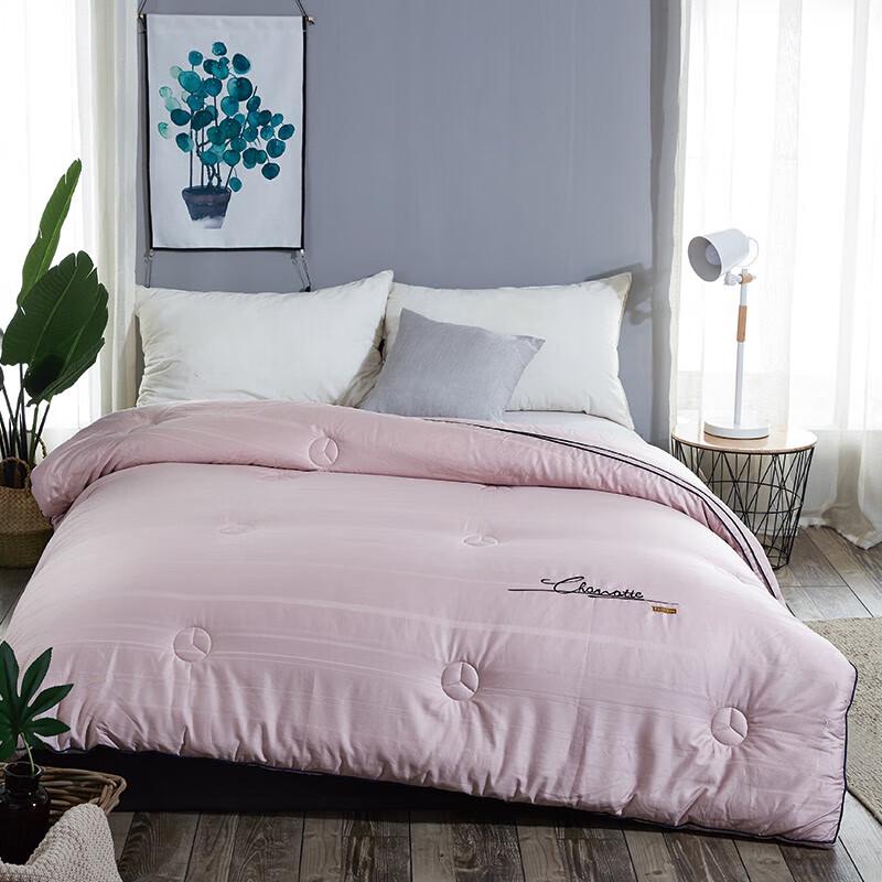 

Tianqin Champs-Élysées Soft Warm Silk Blend Winter Duvet