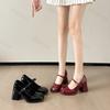 Woman's Mary Janes Shoes Spring New Vintage Square Toe Buckle Strap Solid Elegant Chunky Heels Fashion Versatile Casual Pumps