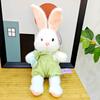 Søt Pacha kanin dukke plysj leketøy barnedukke kanin gripeautomat dukke jente bursdagsgave