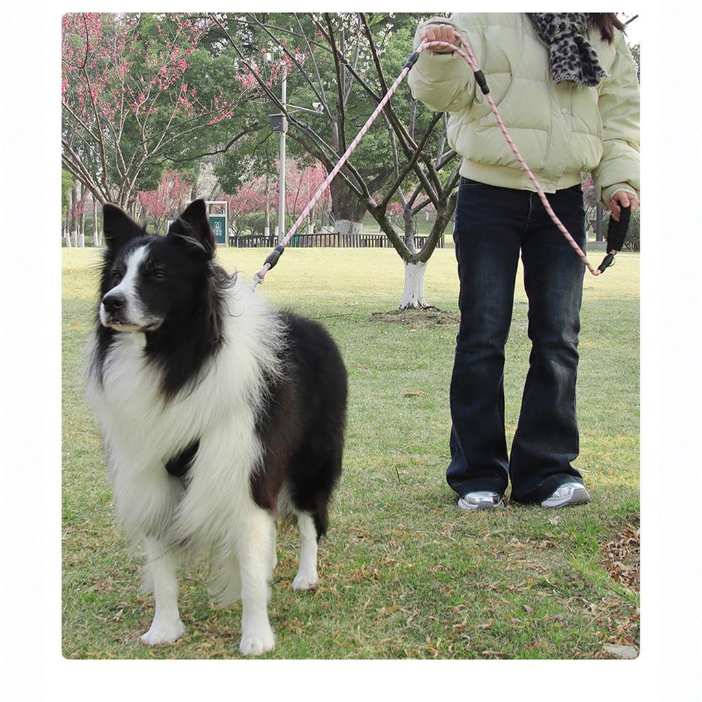 Plutus Haustierseil Hundeleine 1,8 m lang, Verkehrspolsterung Zwei Griffe, Strapazierfähig, Reflektierende Doppelte Griffe für Kontrolle Sicherheitstraining