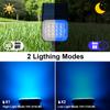 2/6PCS Blue Soalr Garden Light Outdoor Solar Spotlight IP65 Solar Wall Light Adjustable Brightness Solar Lamp For Garden