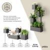 Umbra Cubico Wall Black [Official] Planter,