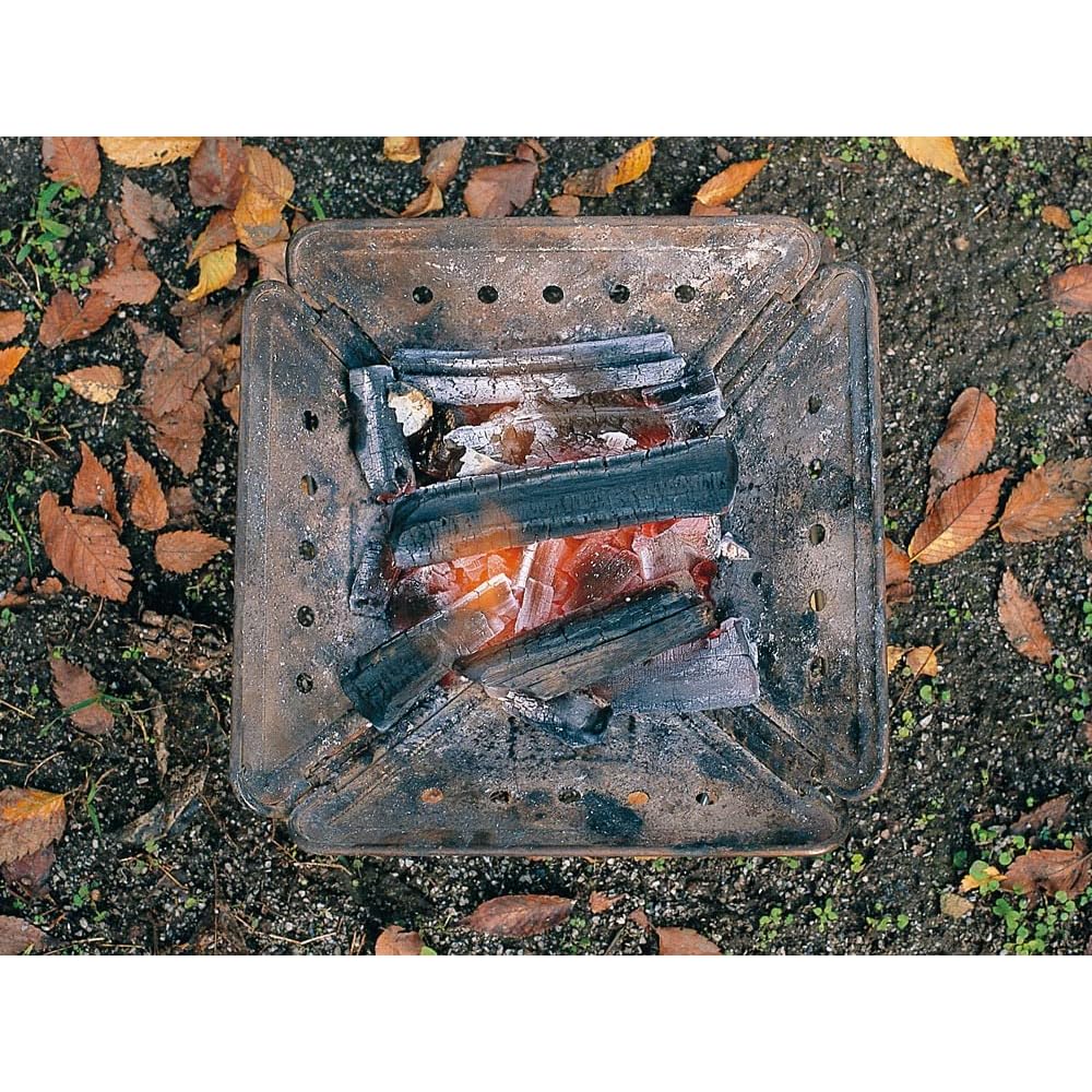Snow Peak Pro M Charcoal Grill for 3-4 People Portable Outdoor Cooking Equipment