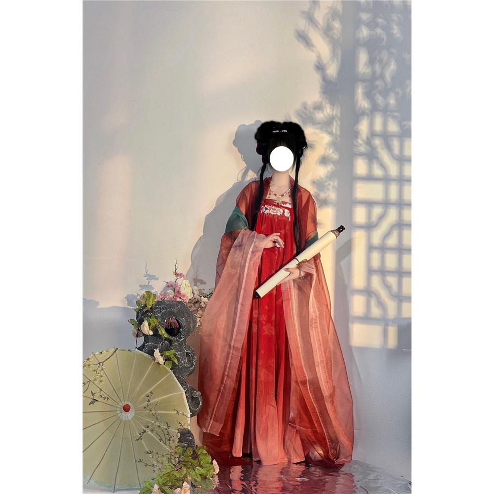 Rochie HE ZI în stil chinezesc din dinastia Tang Costum pentru femei Hanfu Costum zilnic brodat