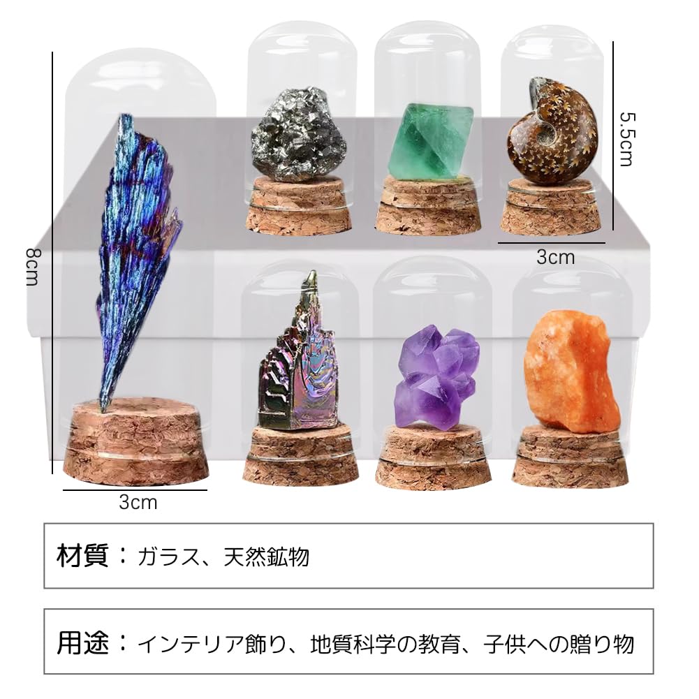 HIGHAWK Rock Specimen Natural Stone Glass Cover Ore Dustproof Figurine Ornament Display Specimen Box Table Collection Geological Science Decoration