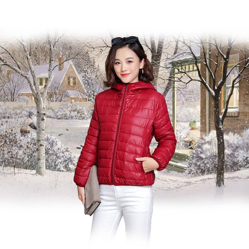 2023 New Women's Hooded Lightweight Down Cotton Coat - Korean-Style Loose Short Coat