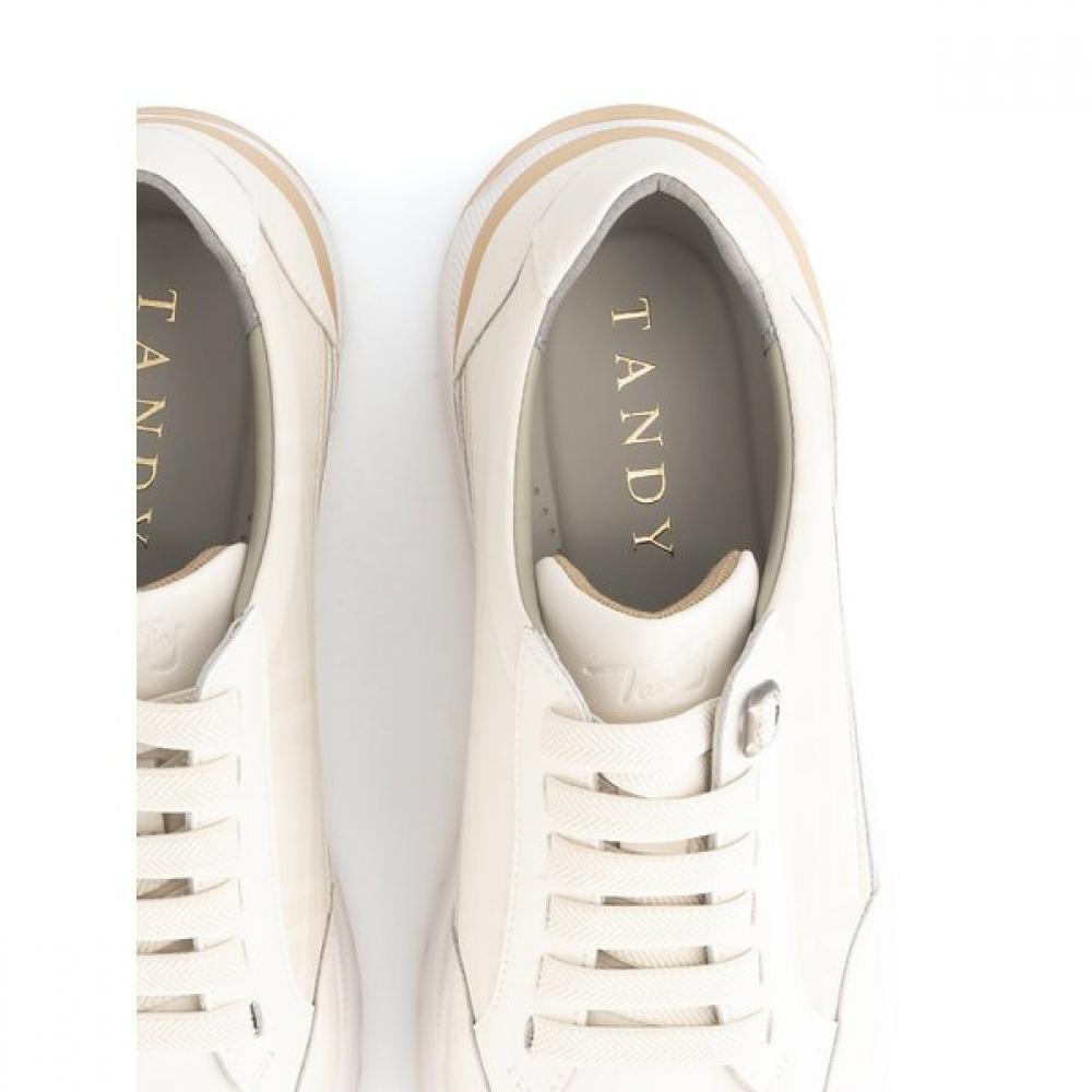 Tandy Men S caSual SneakerS  Q26022  Ivory 