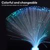 Light Colorful Atmosphere Party Lamp Festival Starry Sky Wedding Led Color Changing Stage Fiber Optic Lamp For Gift Optic Fiber