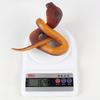 Reptile Animal Snake Action Figures Python Cobra Simulation Snake Rattlesnake Model  Prank Toy