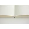 Midori MD Notebook Shinsho (Compact), Blank