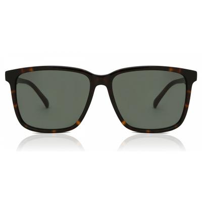 R3336 C Men Sunglasses