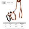 Little Bee Cat & Small Dog Harness and Leash Set