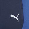 Puma EVOSTRIPE 8 DK boys' shorts navy blue 67919714 size 176