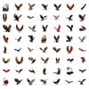 55 New Eagle Eagle Graffiti Stickers Decorate Luggage Mobile Phone Personal Stickers