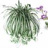 1Pc Chlorophytum Comosum Faux Greenery Huis Tuin Kunstzijde Spinplant