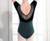 ProDance Velour Short Sleeve Leotard for Simple and PLHA022B Moss Ballet, Cute, (XL (170), Green)