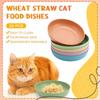 20 Pcs Shallow Cat Bowl Set 5.5 Inch Plastic Cat Food Plates for Wet Food Short Legged Kittens