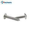 Stainless Steel Cross Mushroom Head Self-Tapping Screws, Large Flat Head, M3/M4/M5/M6, Pointed Tail.