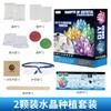 Children'S Educational Science Experiment Handmade Diy Crystal Seed Christmas Tree Growth Chemical Planting Crystal Toy