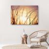 Canvas Print, Grass In the Sunshine