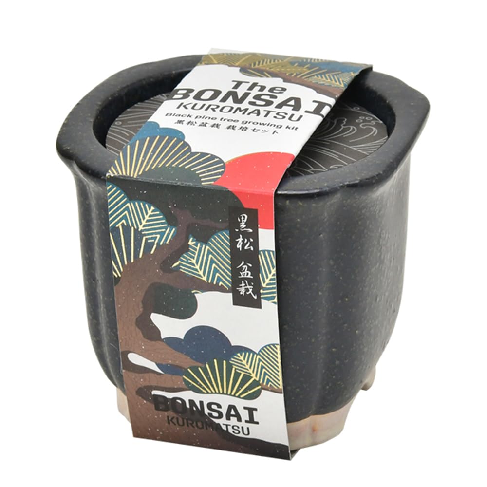 

Seishin Ceramics Набор для выращивания БОНСАЙ Куромацу Размер приблизительный. Ш8.5 Д8.5 В7.5 ГД-99201