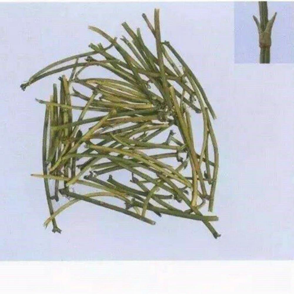 Raw Mo & Huang Herb Tea Herbal Green Tea Natural Mu & huang Tea