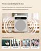 Portable Teacher-Specific Wireless Bluetooth Megaphone & Microphone