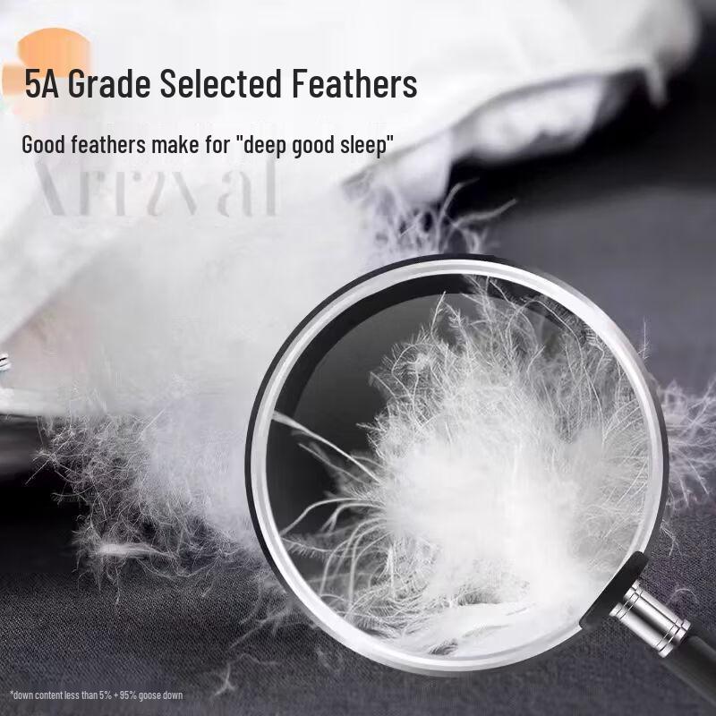 Yuanzhiwei Premium White Goose Feather Quilt