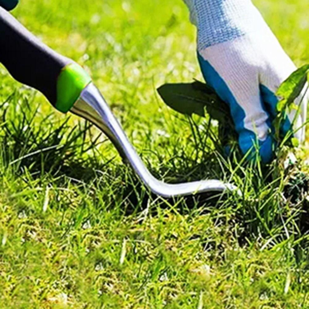 Two-Pronged Fork Root Extractor with Ergonomic Handle Weeder Puller Tool  Transplants