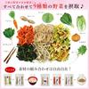 Kira Foods Dried Vegetables 6-Variety Set 225g Root Vegetables Miso Soup Ingredients Carrots Spinach Lotus Root Preserved Food Cup Noodle Topping