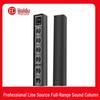Huidu L-Series Professional Wall-Mounted Line Array Speaker