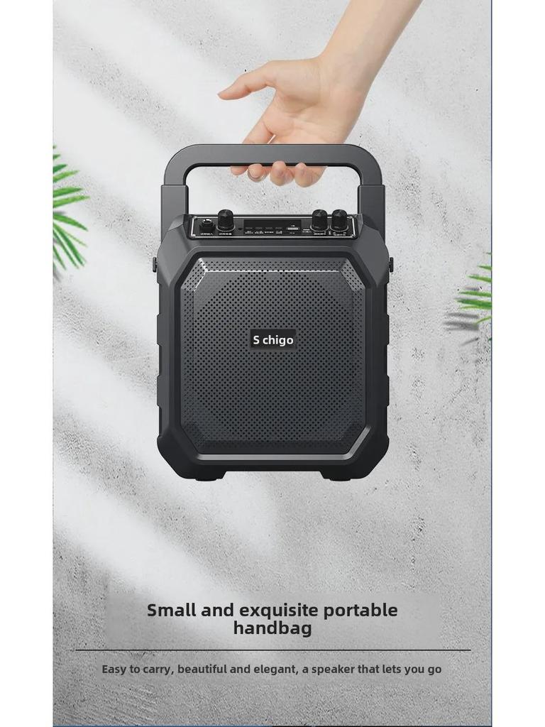 Portable Bluetooth Speaker with Microphone for Outdoor Square Dance, Karaoke, and High-Volume Use