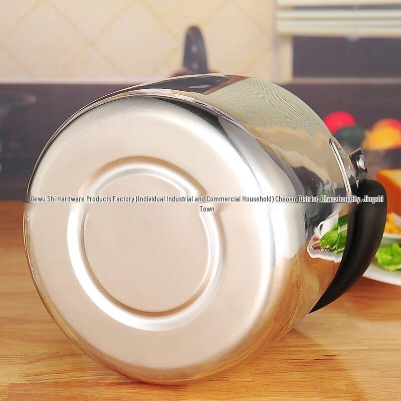 European Style Whistling Kettle - Thickened Stainless Steel for Induction and Gas Stoves, Angled Spout, Universal Design