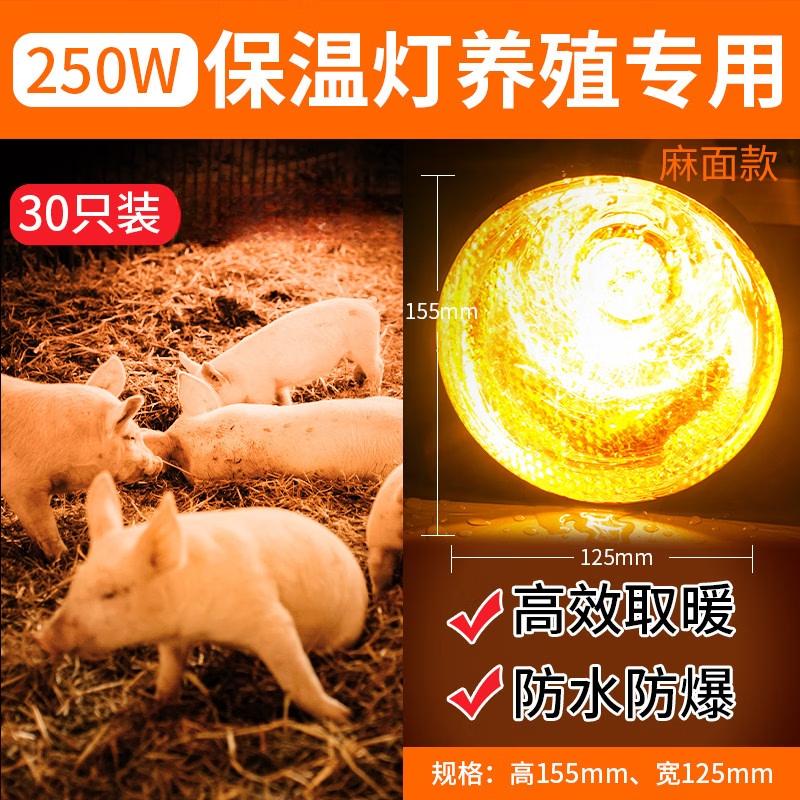 250W Frosted Animal Brooder Heat Lamp