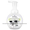 Walch Foaming Hand Wash