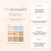 Official Dasique Pro Concealer Palette (#2 Medium Cover)