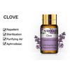 PHATOIL 5/10/30/100ML Clove Pure Plant Extract Essential Oil Good for Skin Care Spa Massage Humidifiers Air Purifier DIY Scents Candle