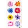 100-500Pcs Premium-Quality Colorful First-Class Butterfly High-Standard Flower Superior-Grade Shaped First-Class Stickers First-Class Sealing