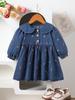 Girls Strawberry Embroidered Denim Dress Peter Pan Collar Princess Casual Spring Autumn Jean Dress For Kids