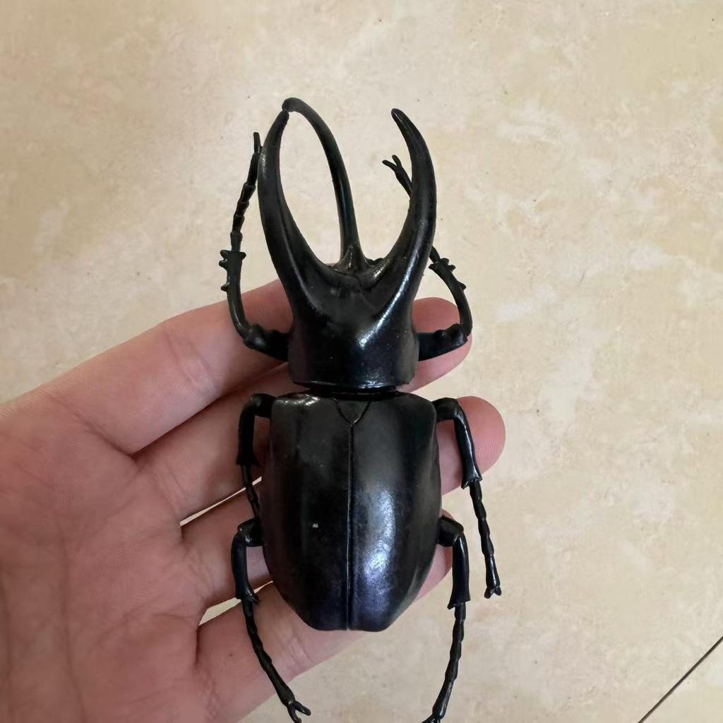 Biographical Analysis of Deer Antler Beetle and Claw Shaped Insect Beetle Gacha Simulation Animal Movable Joints Figure Toys