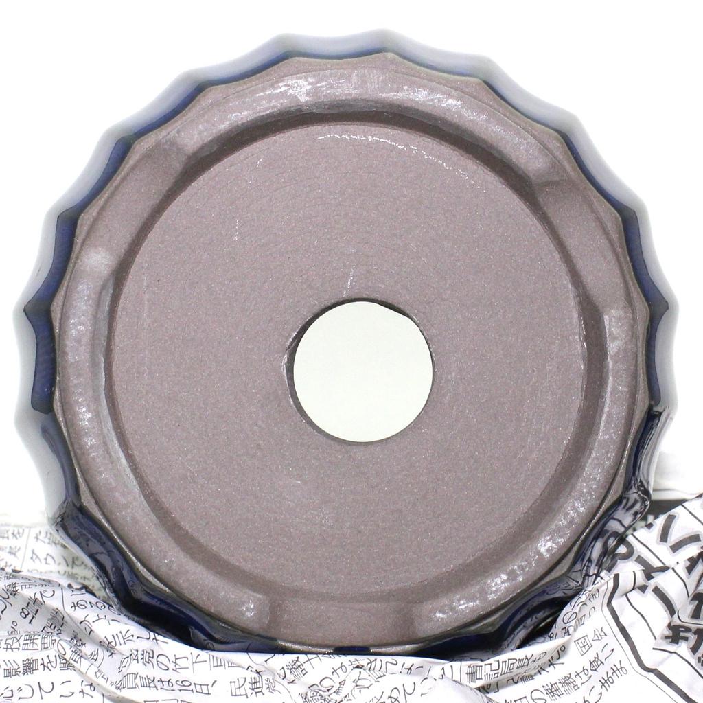 Umekichi Bonsai Small Bonsai Blue Sea Cucumber Seto Ware Suitable for Compact Supplies, 4-inch Chrysanthemum-Shaped Pot, Glaze, Ceramic, Round,