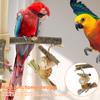 Bird Stand Perch Toy Wooden Parrot Chew Toys 360° Cross Rotatable Parrot Exercise Standing Perch Hanging Bird Cage Accessories