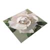 Cross-Border Floral Diatom Mud Cushion: Automatic Drum Washer Dust Cover & Absorbent Table Pad